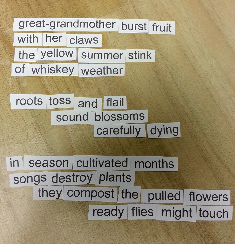 Making Found Poetry with September Tomatoes  a slice of imagination